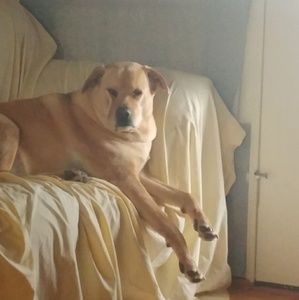 Meet your Posher, Adria